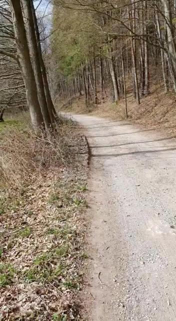 Ferienwohnung Wolf Gräfenroda Dış mekan fotoğraf