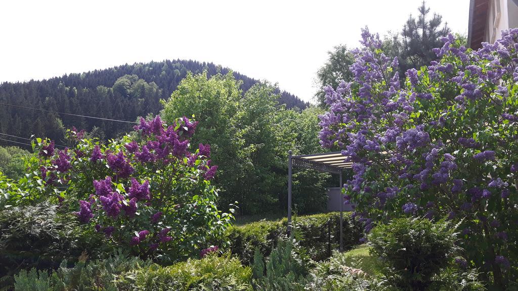 Ferienwohnung Wolf Gräfenroda Dış mekan fotoğraf